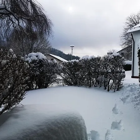 Appartement Kuhlmann Willingen (Upland)