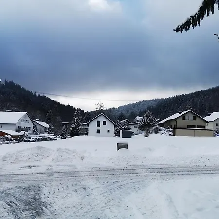 Kuhlmann Appartement Willingen (Upland)