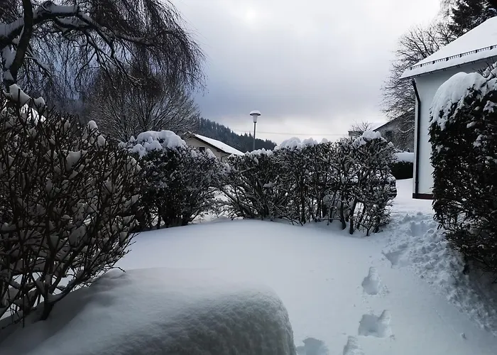 Appartement Kuhlmann Willingen (Upland)