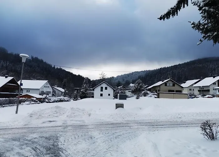 Kuhlmann Appartement Willingen (Upland)